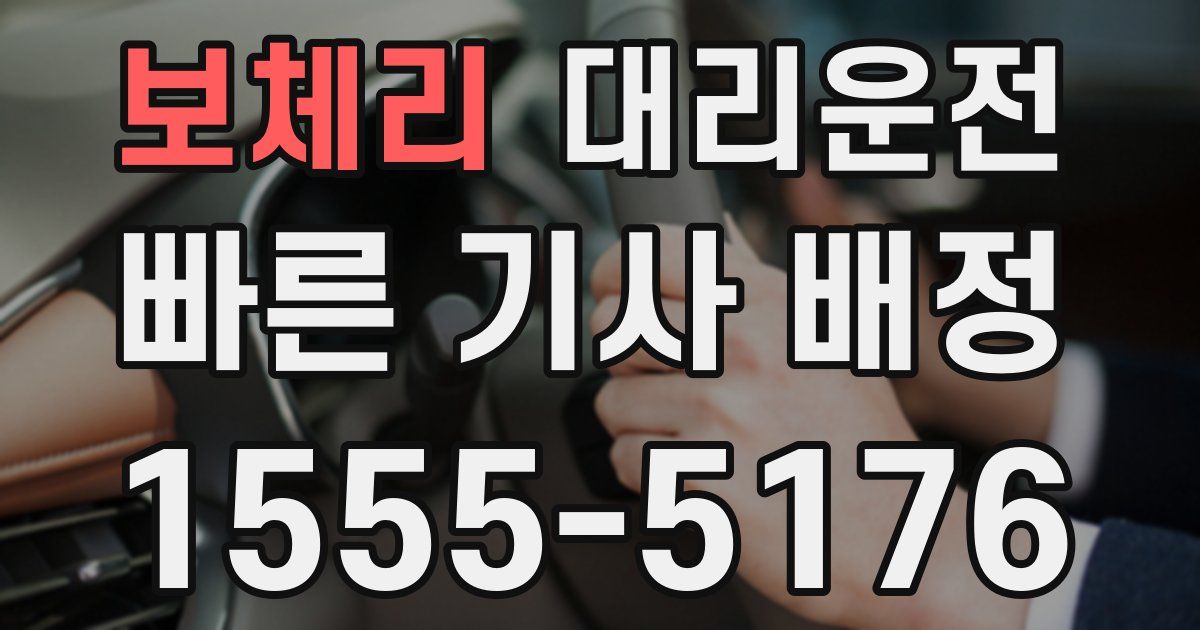 일일대리기사