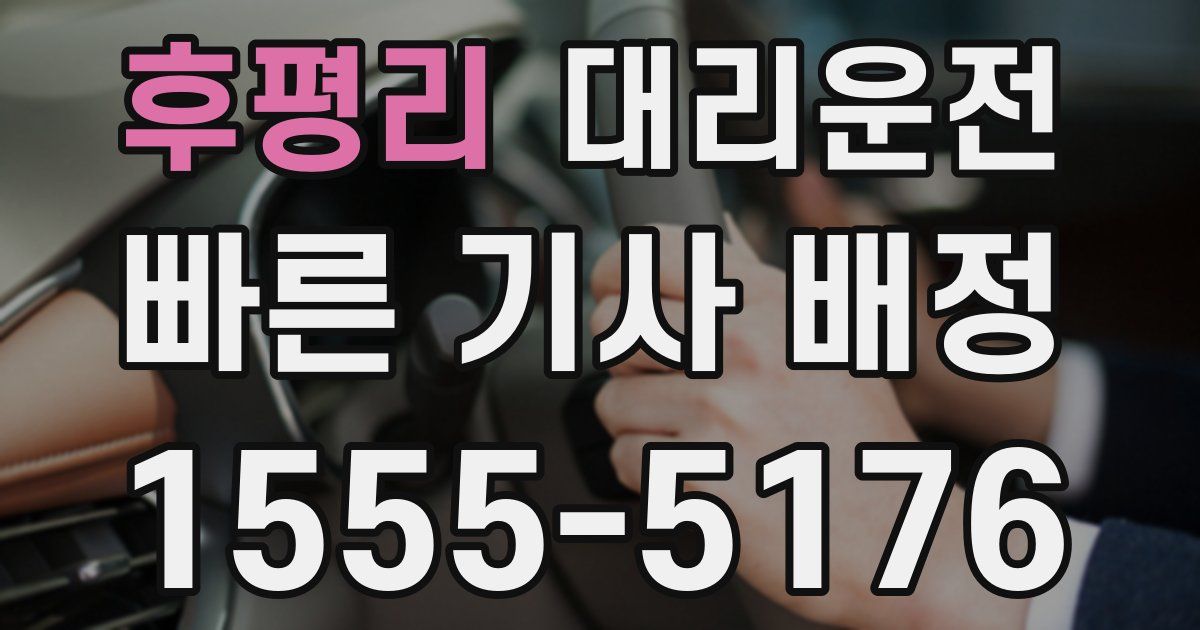 일일대리기사