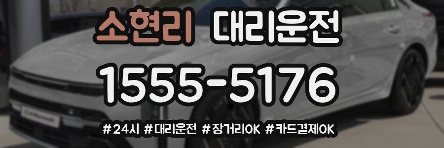 소현리 대리운전