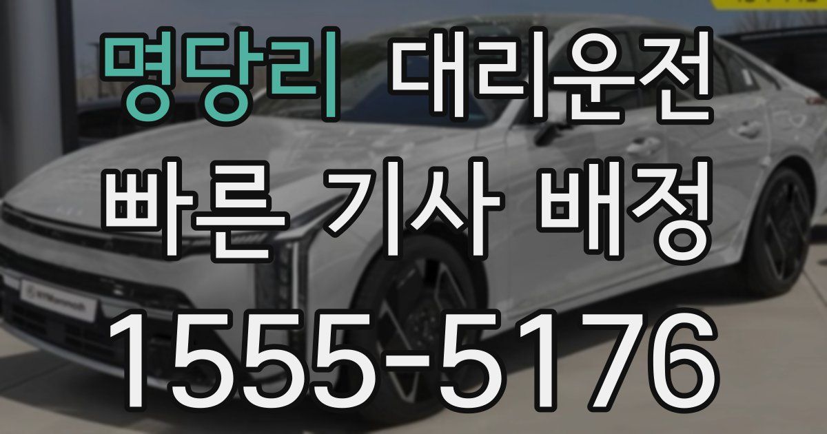 일일대리기사