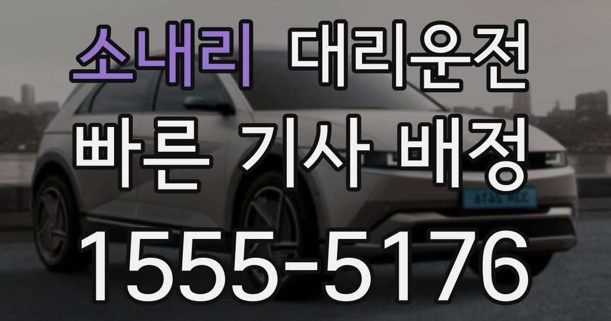 일일대리기사