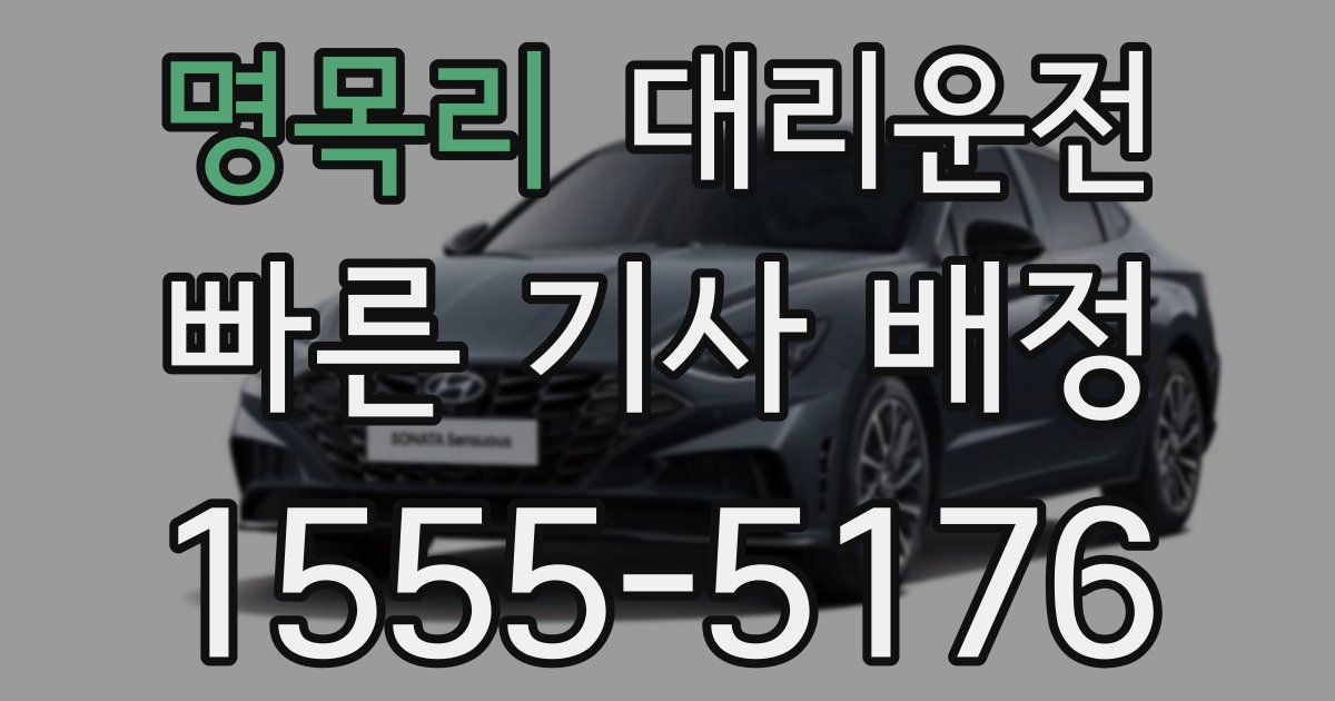 일일대리기사