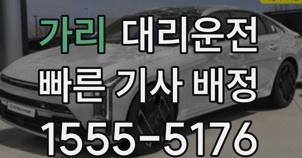 일일대리기사