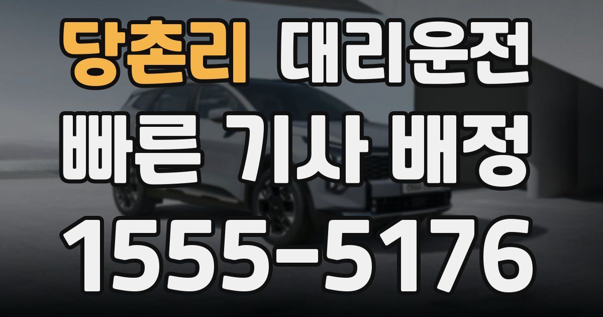 일일대리기사