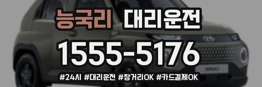 능국리 대리운전
