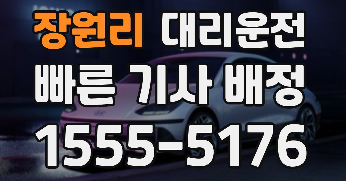 일일대리기사
