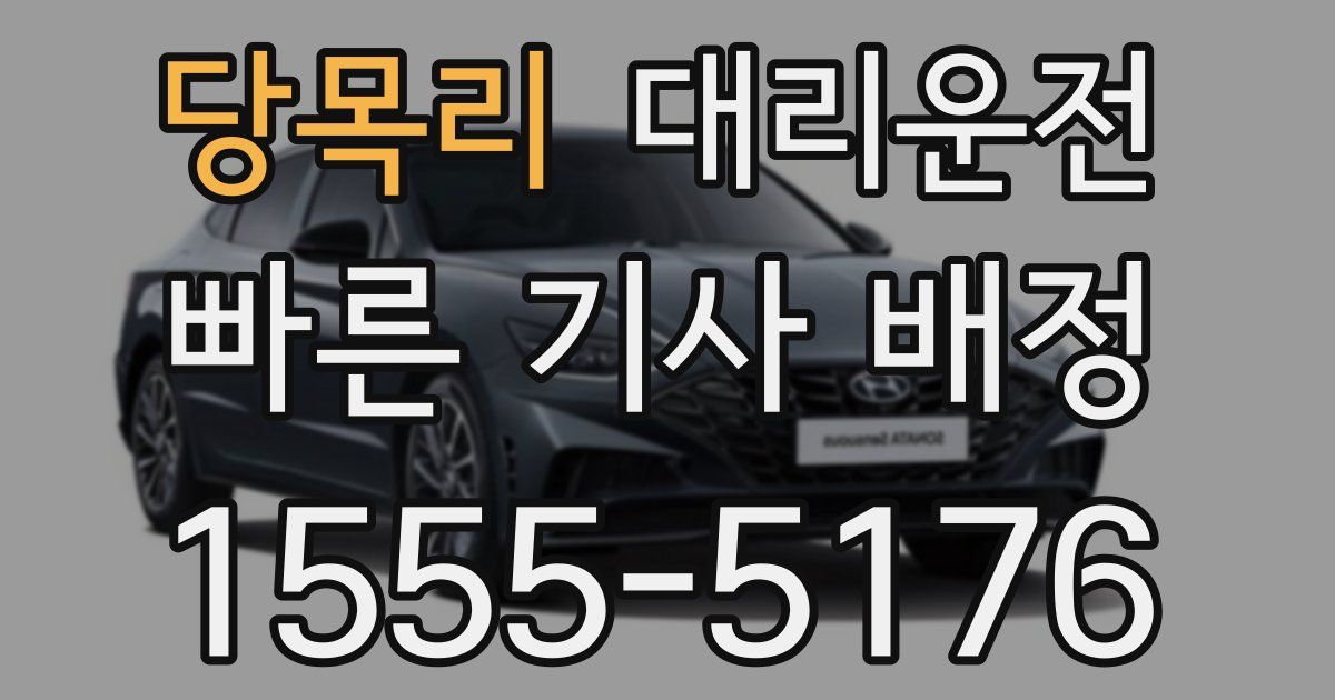 일일대리기사
