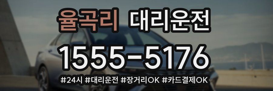 율곡리 대리운전