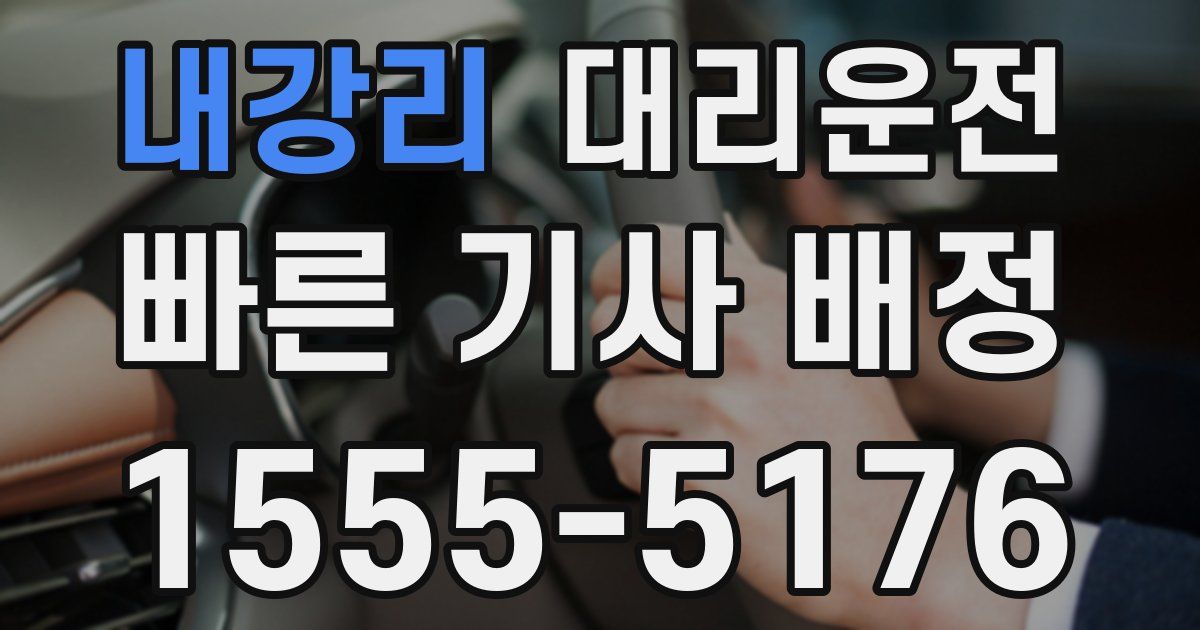 일일대리기사