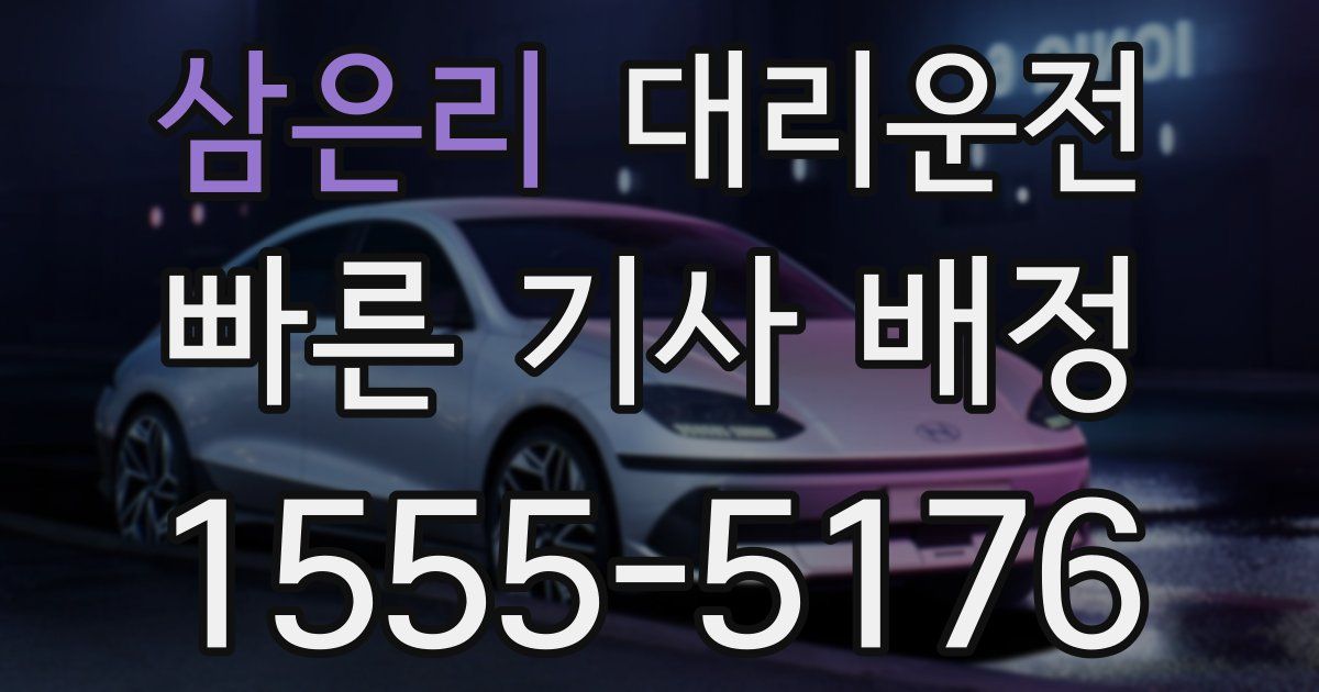 일일대리기사