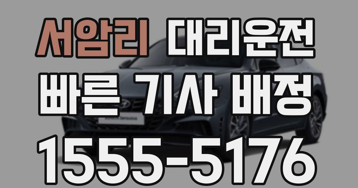 일일대리기사