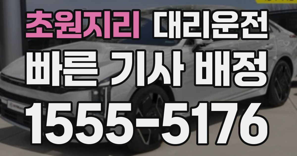 일일대리기사