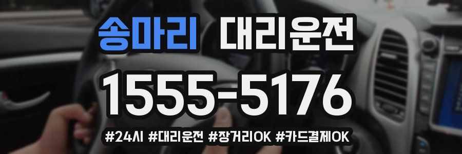 송마리 대리운전