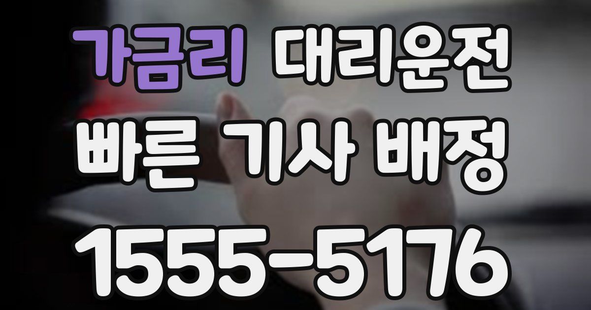 일일대리기사