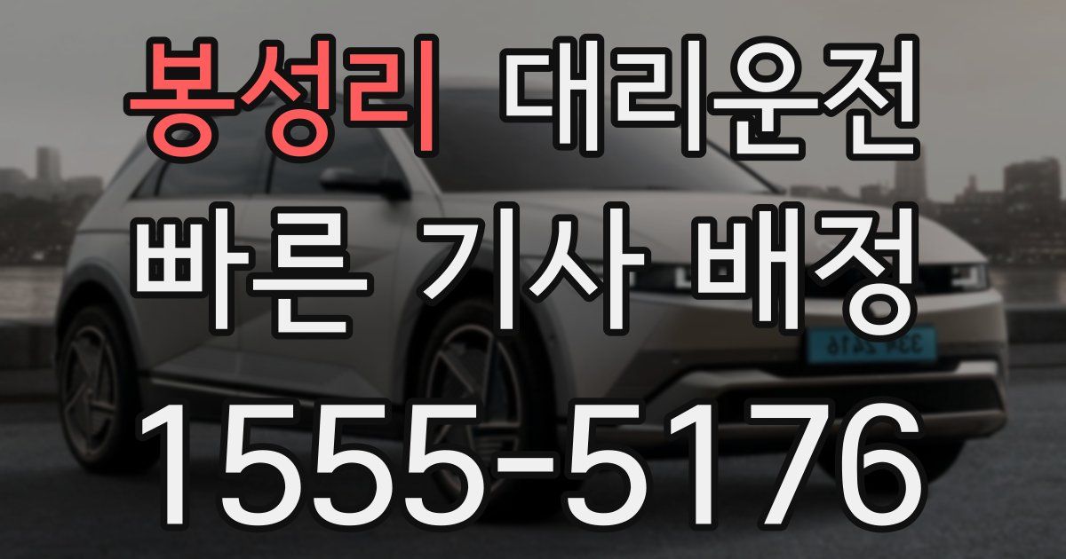 일일대리기사
