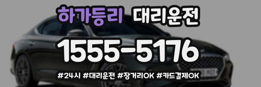 하가등리 대리운전