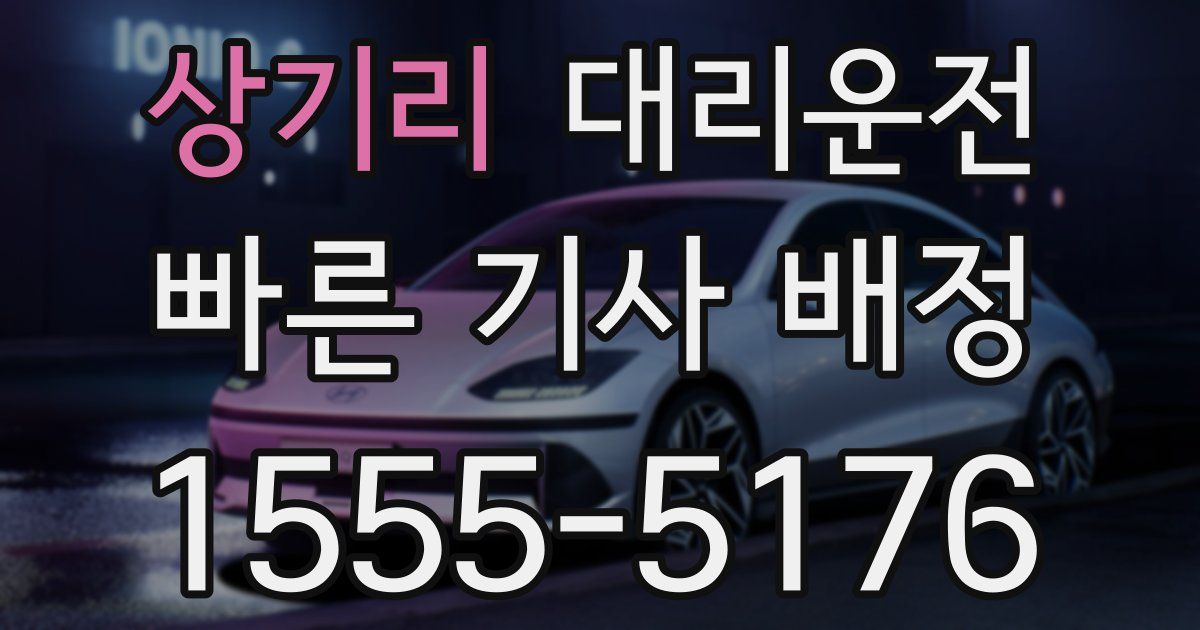 일일대리기사