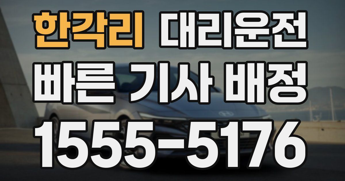 일일대리기사