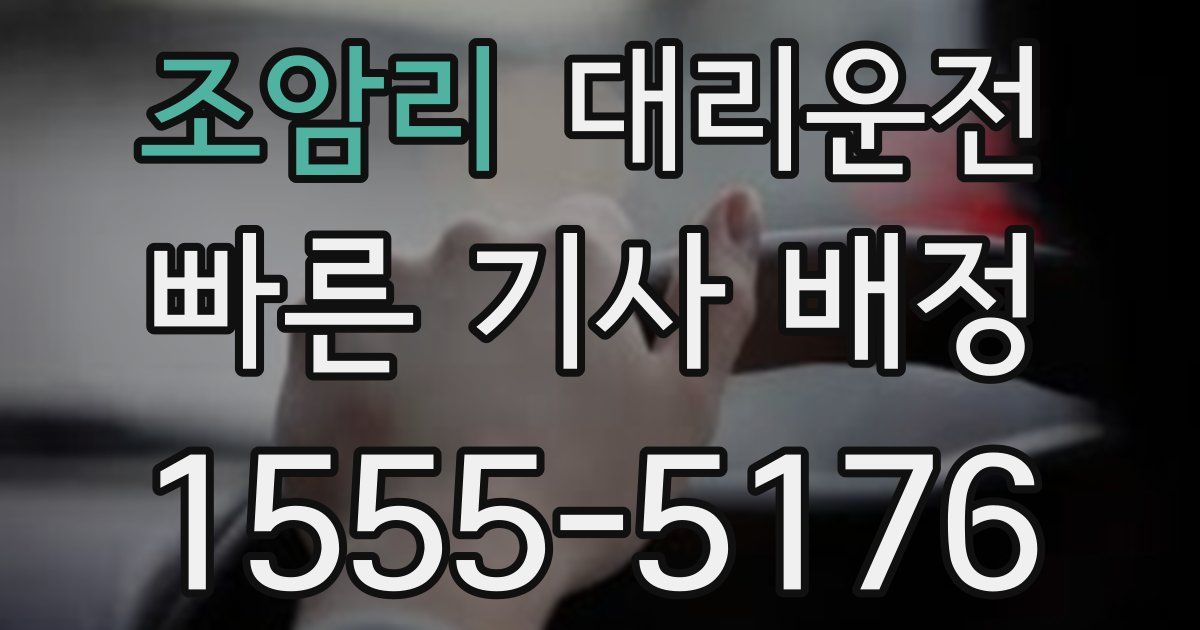 일일대리기사