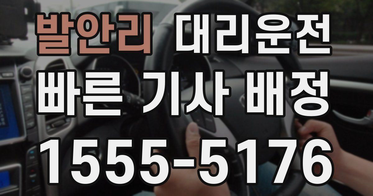 일일대리기사