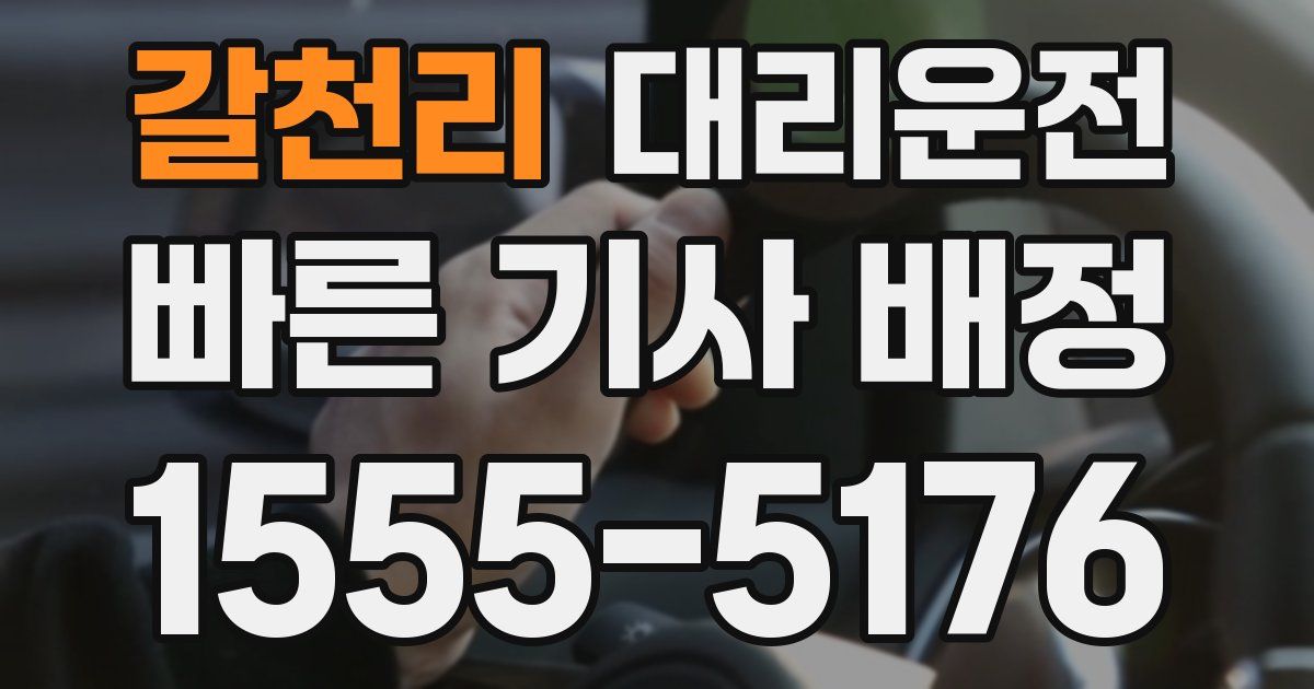 일일대리기사