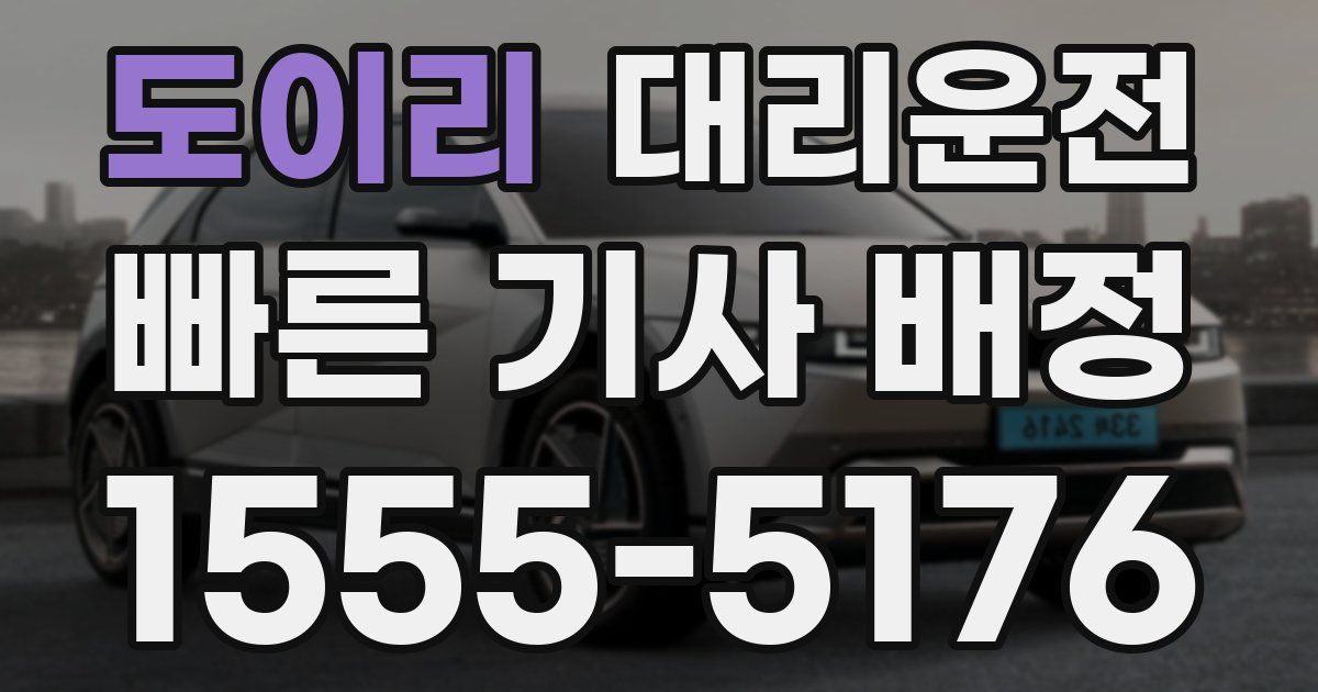 일일대리기사