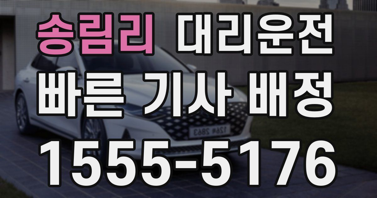 일일대리기사