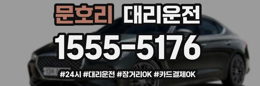 문호리 대리운전