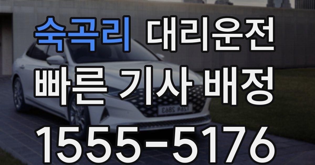 일일대리기사