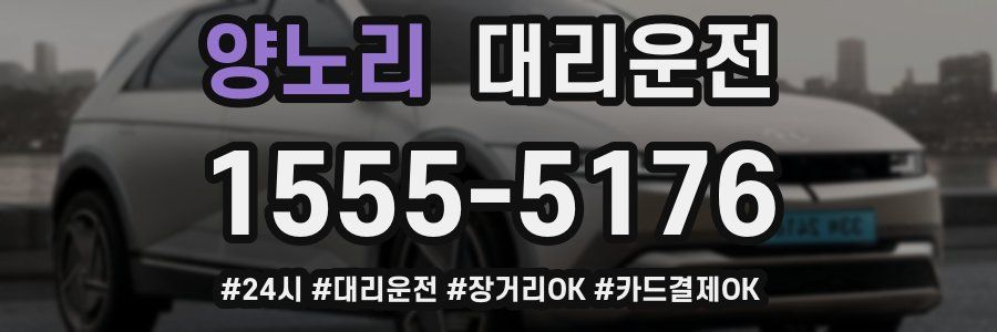 양노리 대리운전