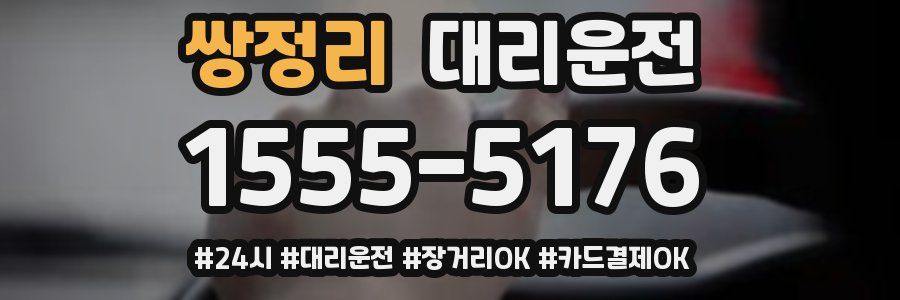 쌍정리 대리운전