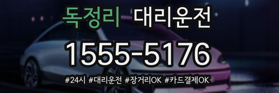 독정리 대리운전