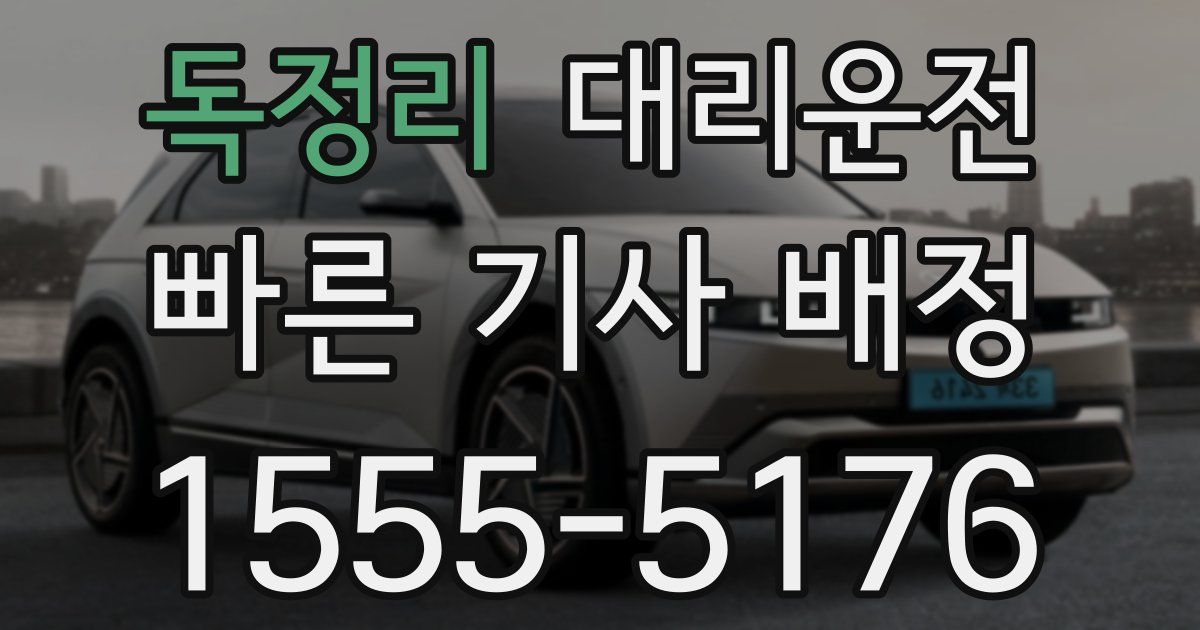 일일대리기사