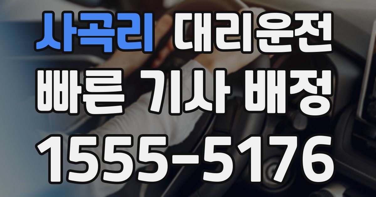 일일대리기사