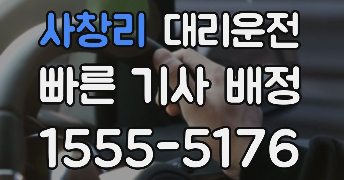 일일대리기사