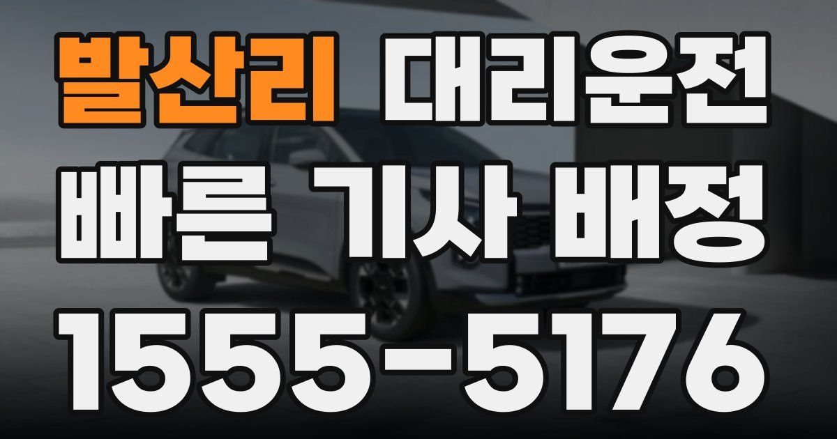 일일대리기사