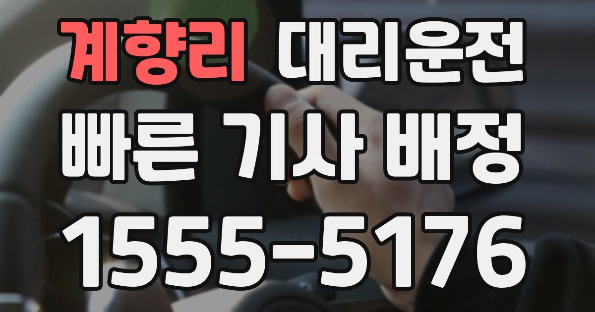 일일대리기사