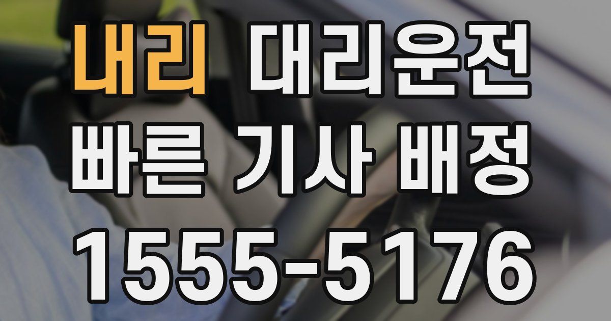 일일대리기사