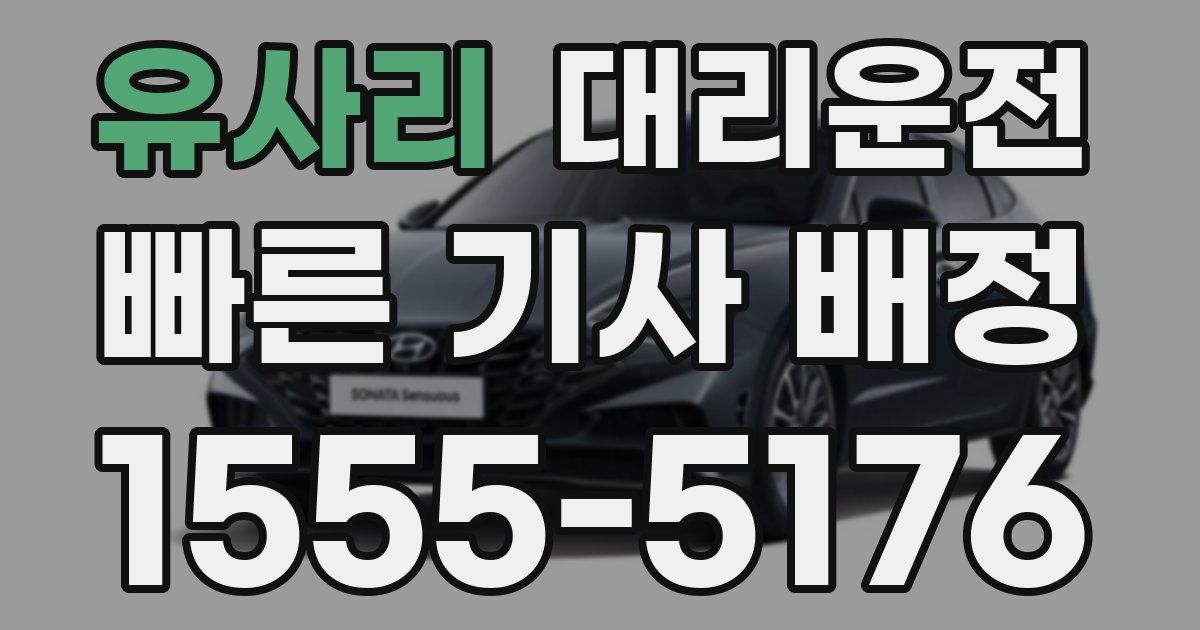 일일대리기사