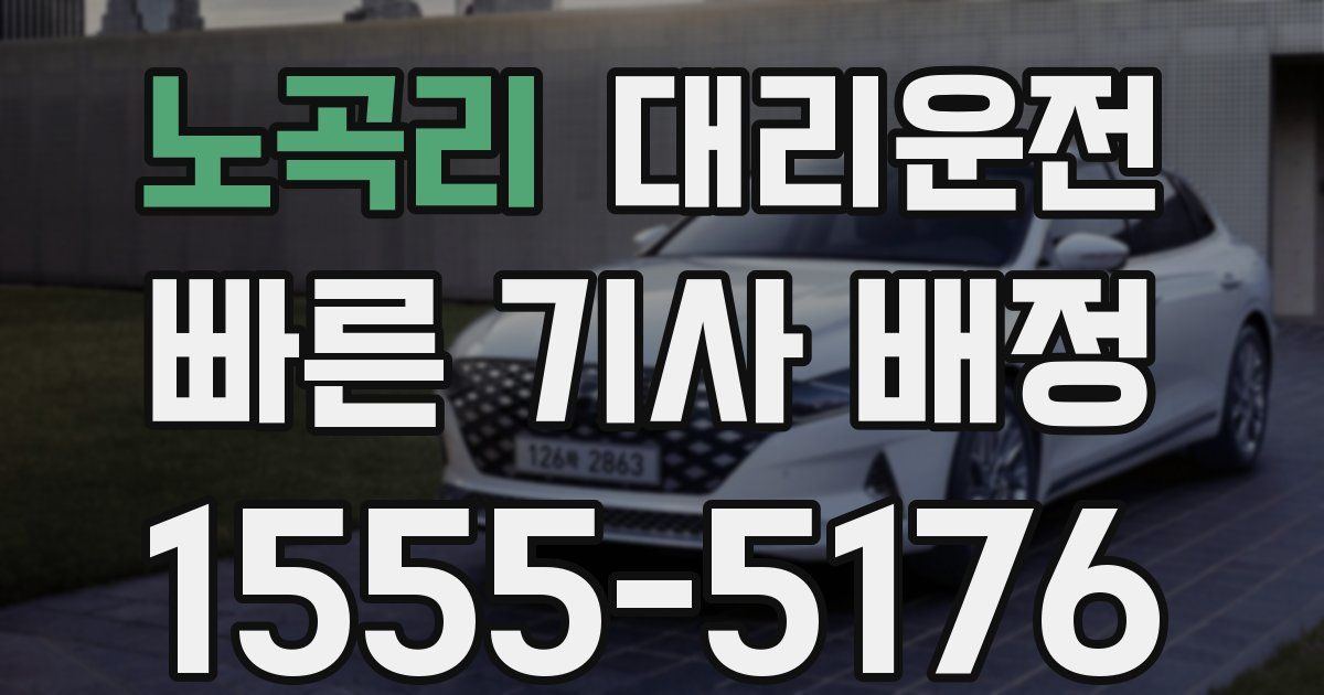 일일대리기사