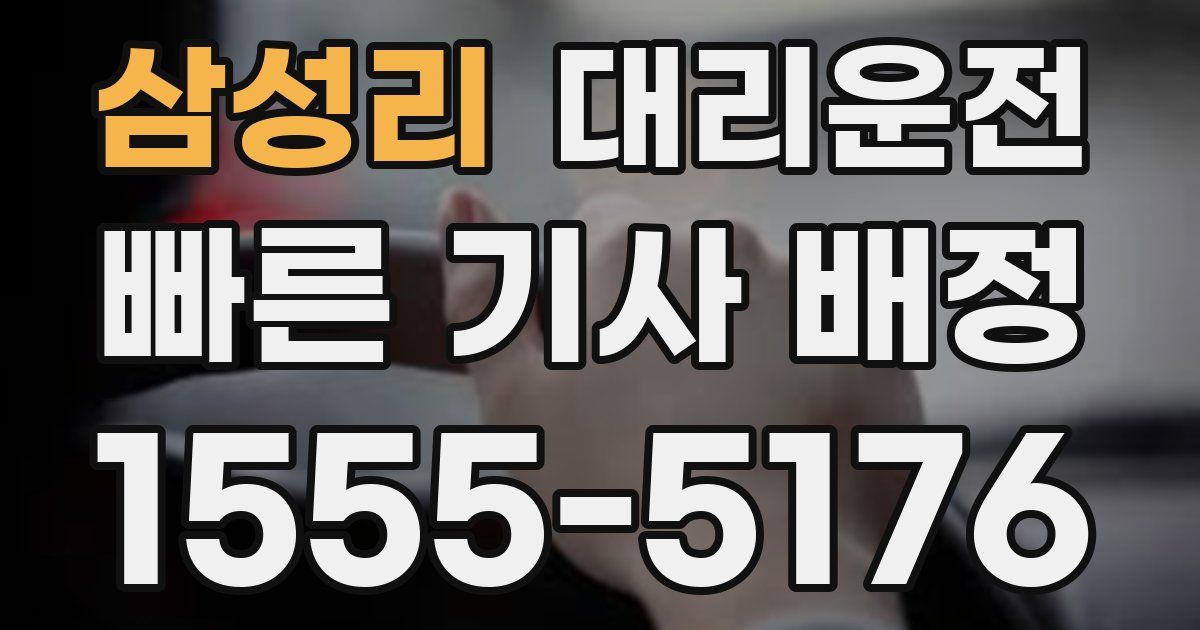일일대리기사