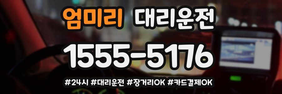 엄미리 대리운전