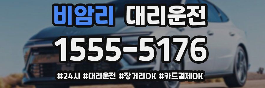 비암리 대리운전