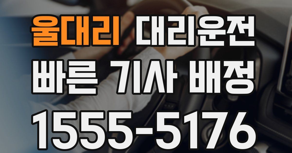 일일대리기사
