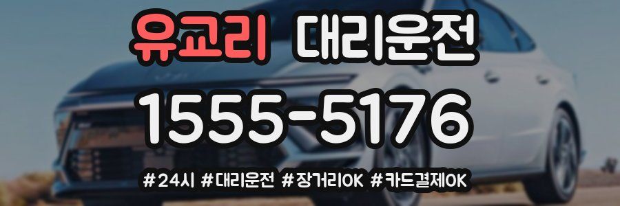 유교리 대리운전