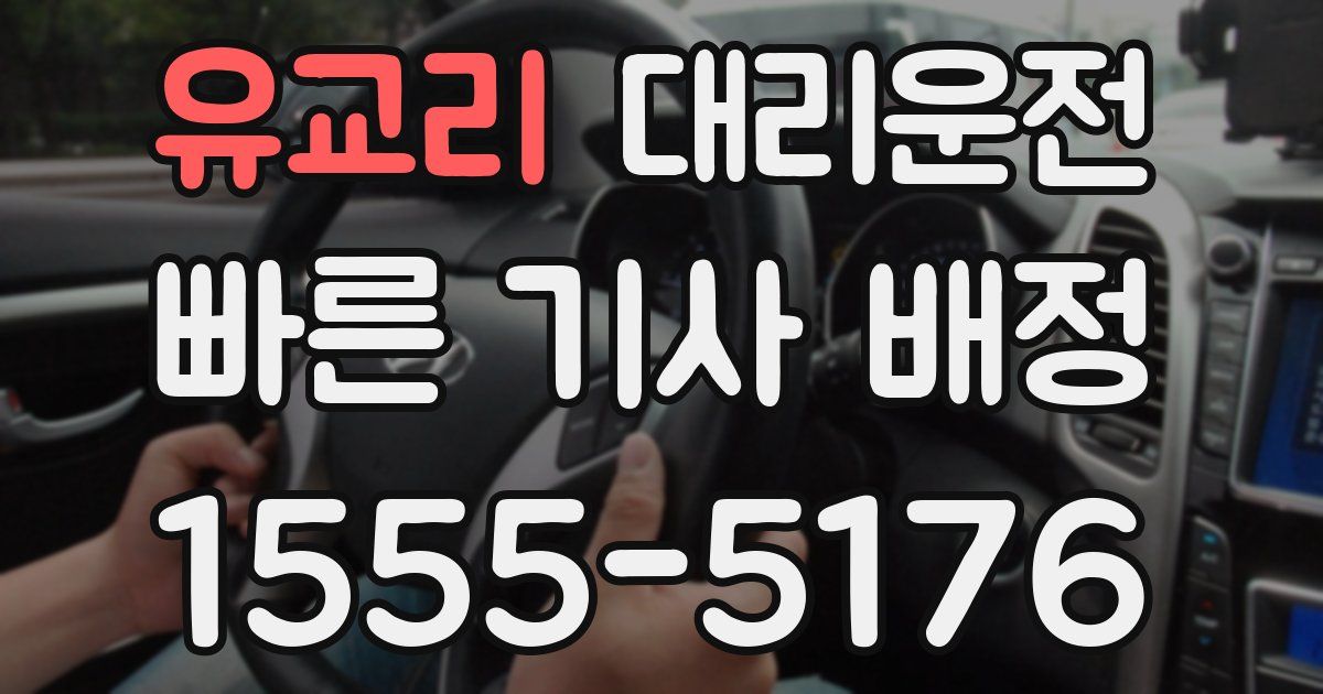 일일대리기사