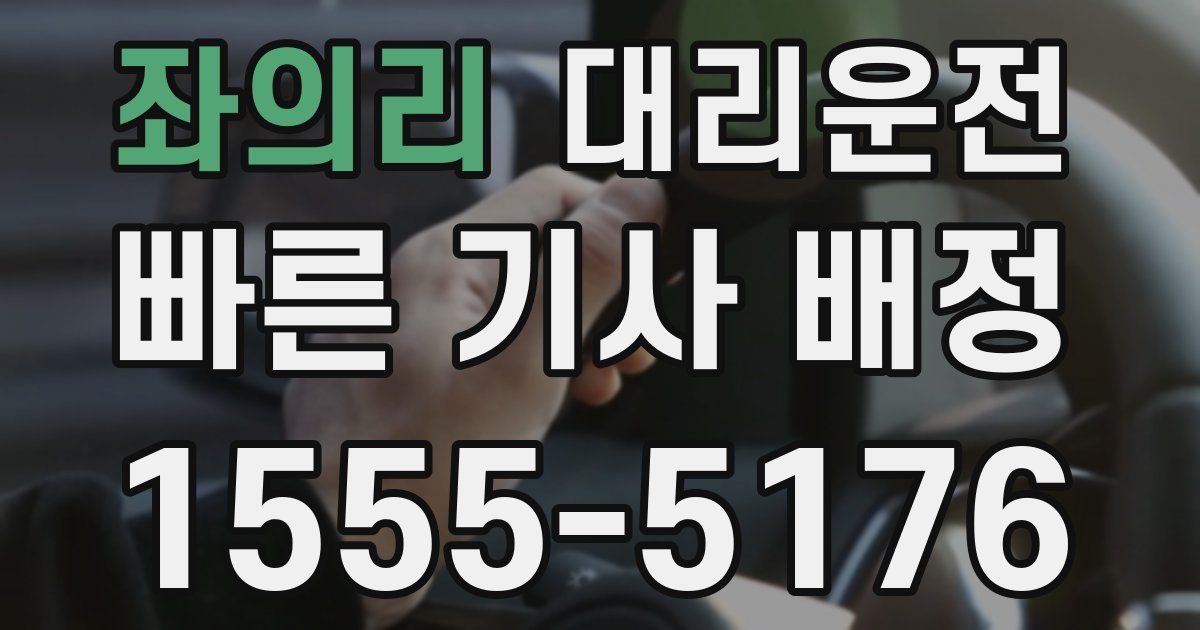 일일대리기사