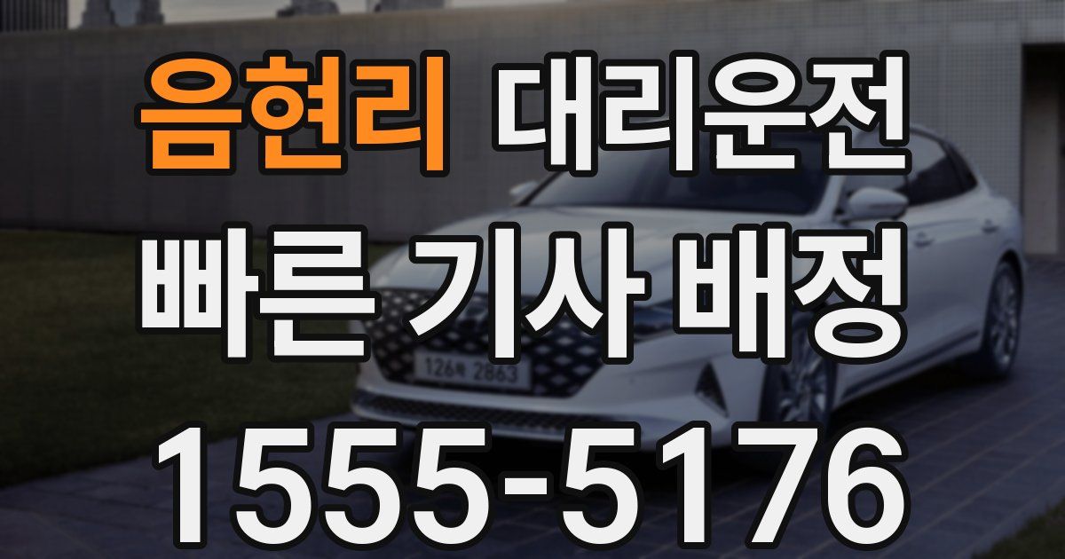 일일대리기사