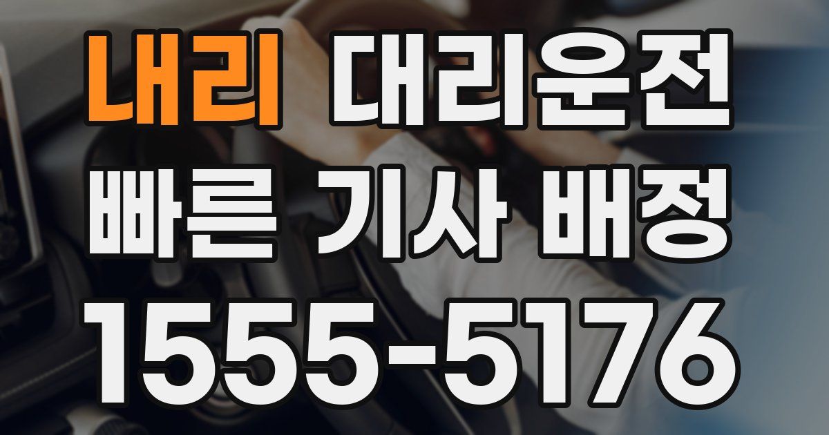 일일대리기사