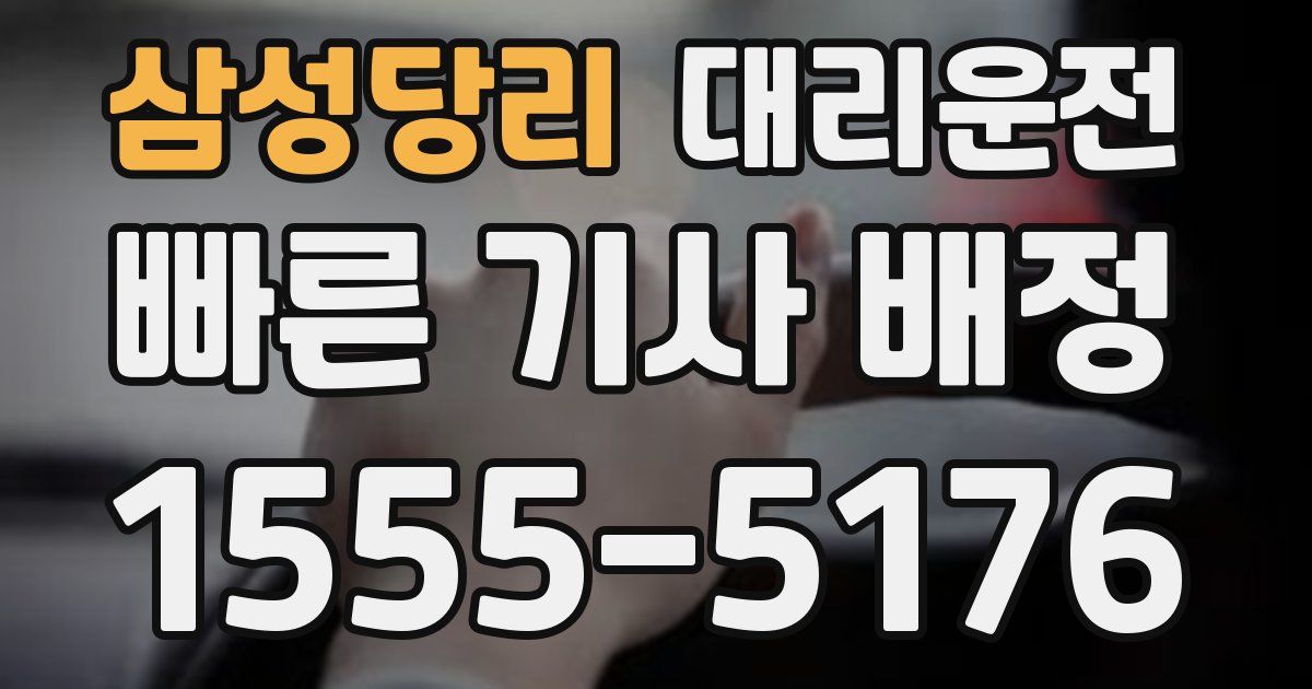 일일대리기사